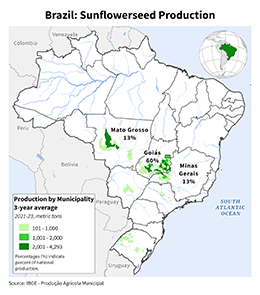 images\BR\cropprod\Brazil_Sunflowerseed_preview.png